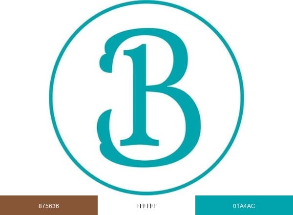 Bonrila Holidays brand color palette