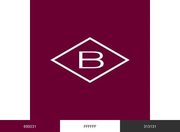 Borsheims brand color palette