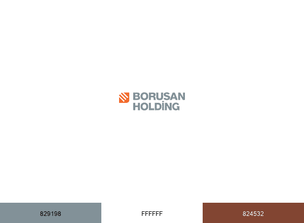 Borusan Holding brand color palette