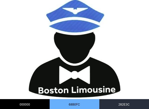 Boston Limousine brand color palette