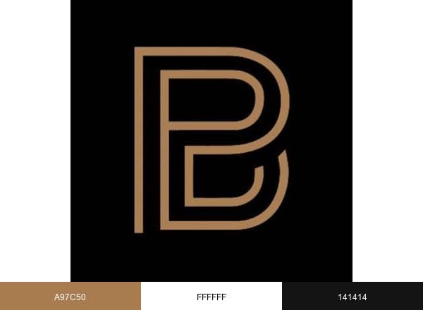 BostonPro Car Service brand color palette