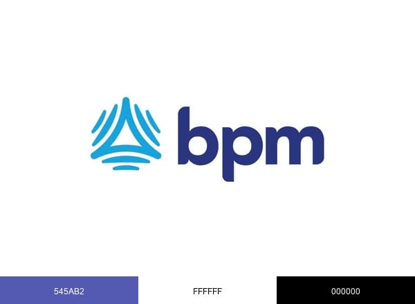 BPM LLP brand color palette