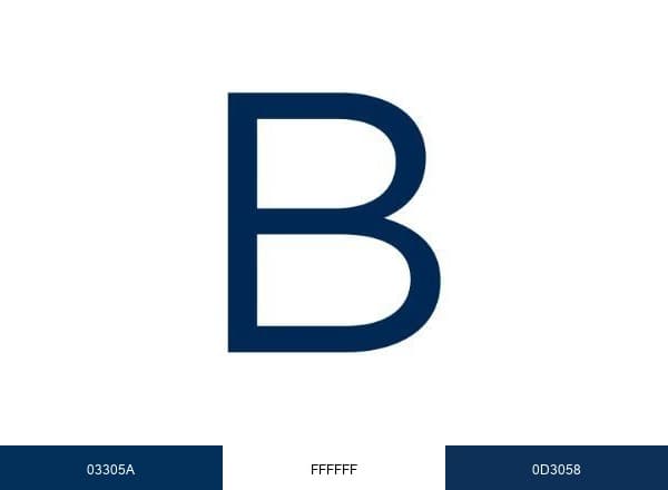 Bracewell LLP brand color palette