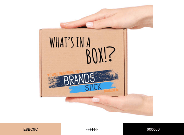 BrandsStick brand color palette