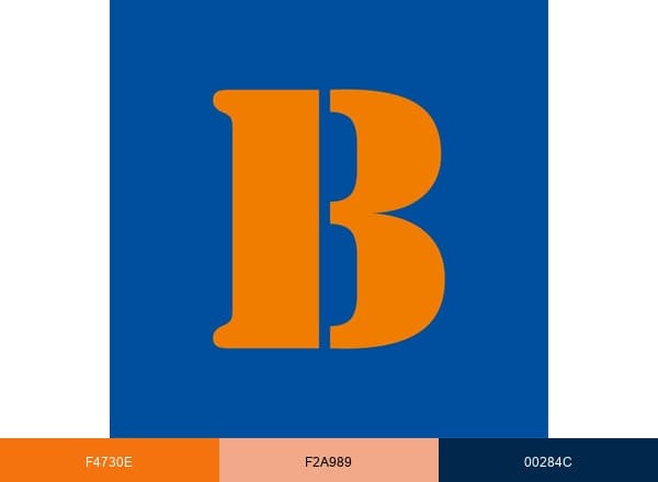 Braspress Transportes Urgentes brand color palette