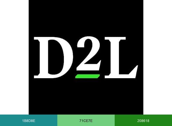 D2L brand color palette