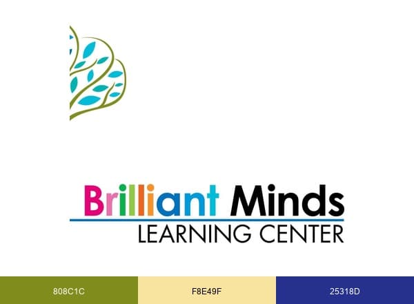 Brilliant Minds Learning Center | Newport News VA brand color palette