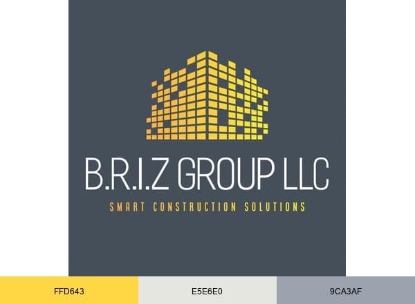 B.R.I.Z Group LLC brand color palette