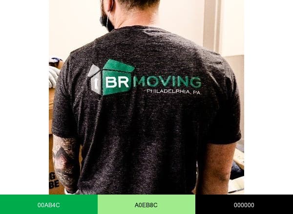 BR Moving & Storage brand color palette