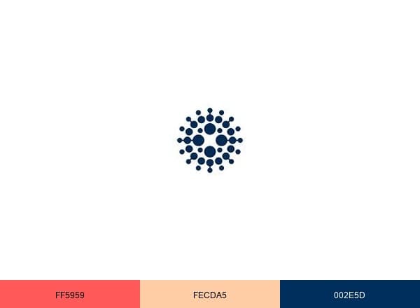BroadReach brand color palette