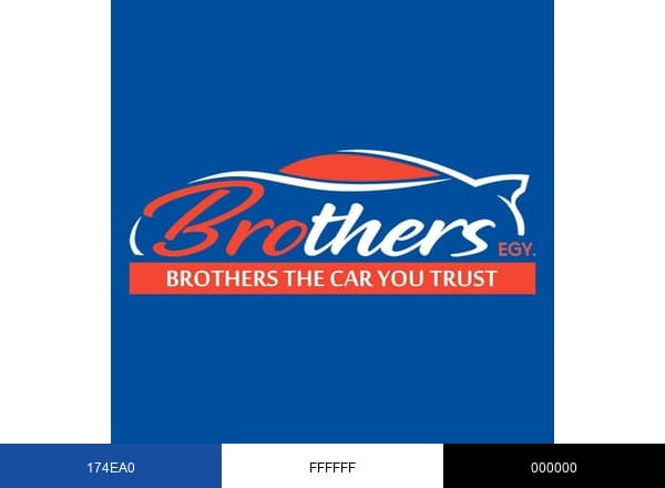 Brothers EGY brand color palette