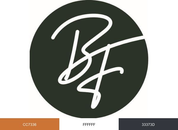 Law Office of Bryan Fagan brand color palette
