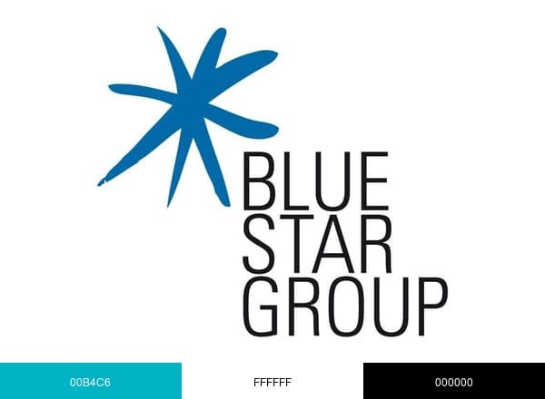 Blue Star Group brand color palette