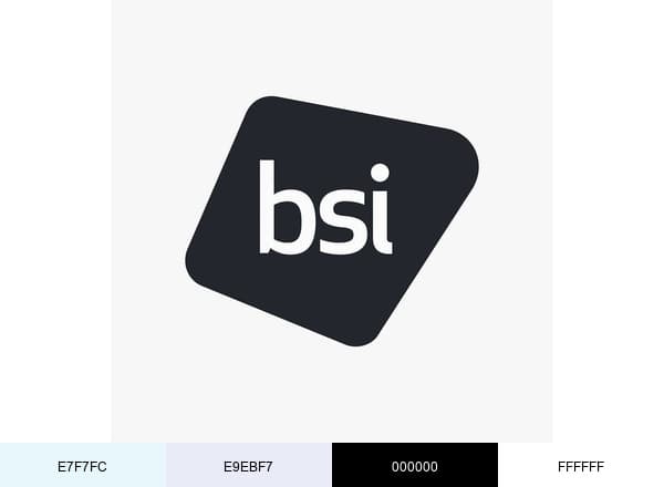 BSI brand color palette