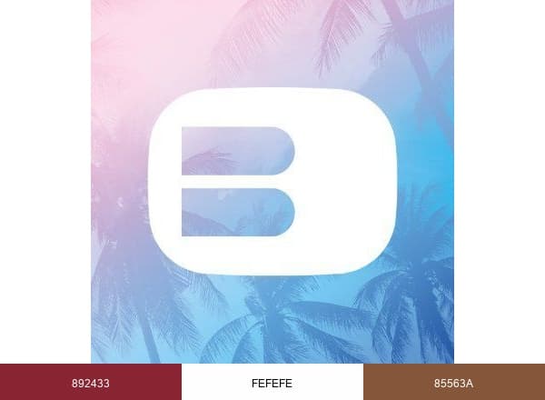 Buckle brand color palette