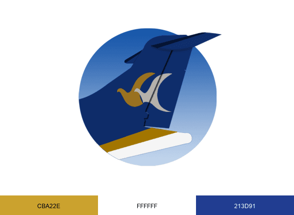 Buddha Air brand color palette