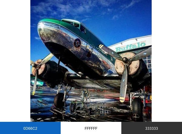 Buffalo Airways brand color palette