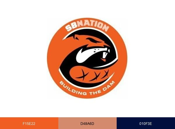Building The Dam brand color palette