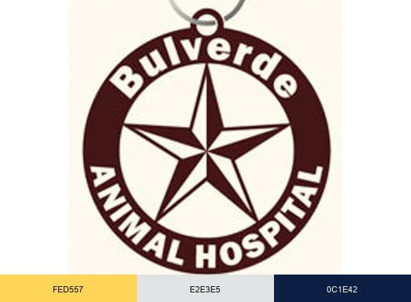 Bulverde Animal Hosp brand color palette