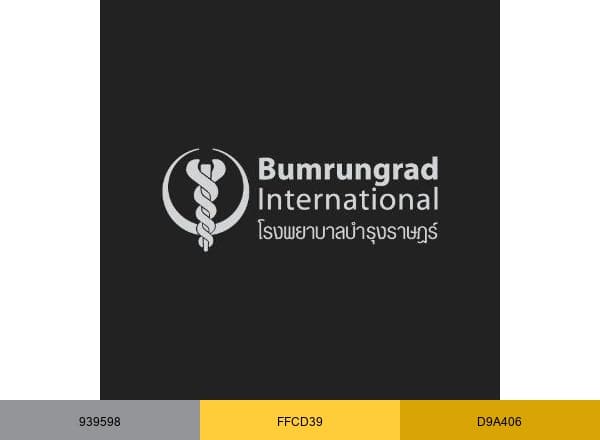 Bumrungrad Hospital brand color palette