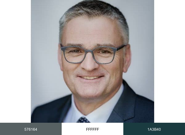 Stefan Kornelius brand color palette