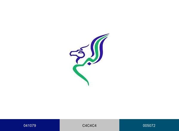 Buraq Air brand color palette