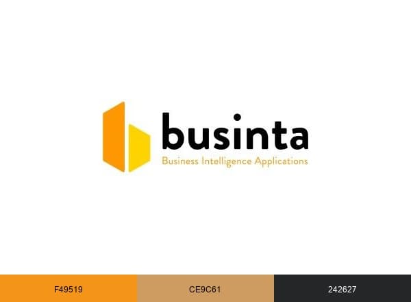 Businta İş Zekası Çözümleri brand color palette