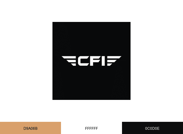 Camarillo Flight Instruction brand color palette