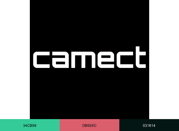 Camect brand color palette