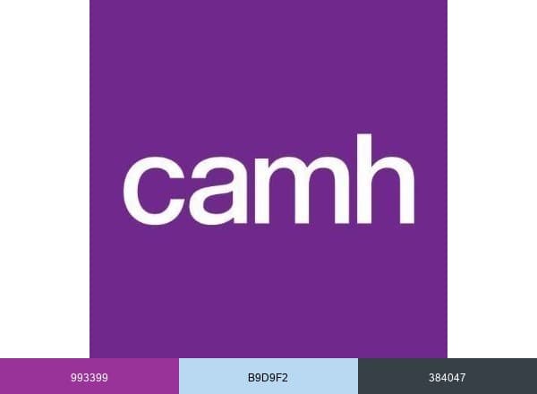 CAMH brand color palette