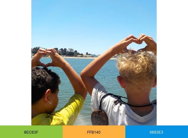 Camp James brand color palette