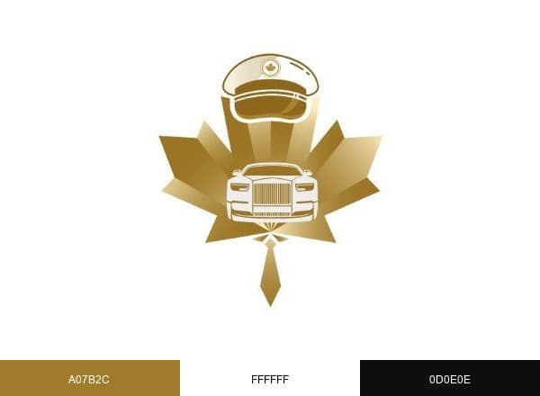 Canadianlimos brand color palette