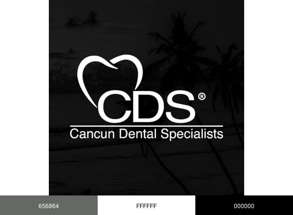 TOP Cancun Dental Specialists brand color palette