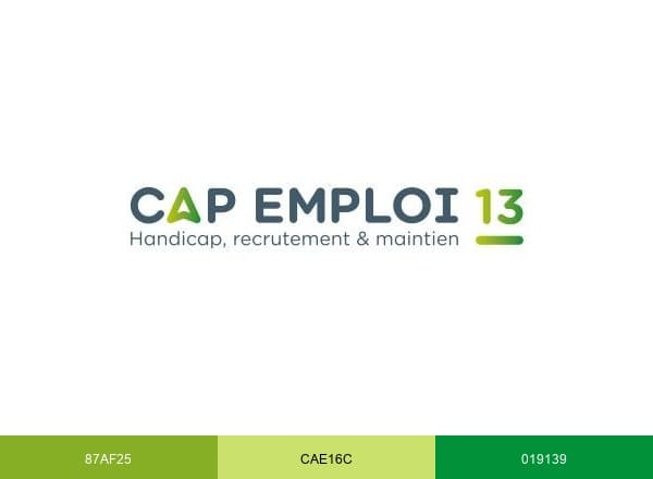 Cap emploi 13 brand color palette