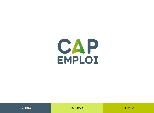 CAP EMPLOI 29 brand color palette