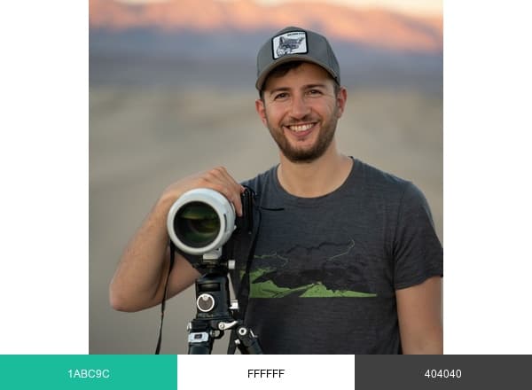 Dan Zafra Photography brand color palette