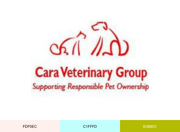 CaraVetGroup brand color palette