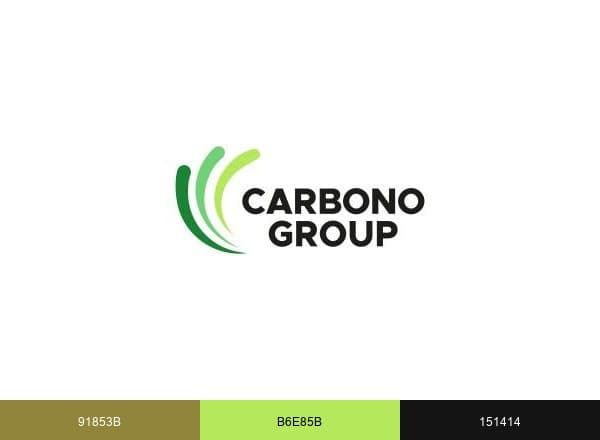 Carbono Group brand color palette