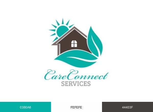 CareConnect Services brand color palette