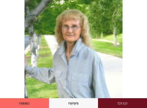 Mary Elaine Petrucci: Caregiver Lifeline Community brand color palette