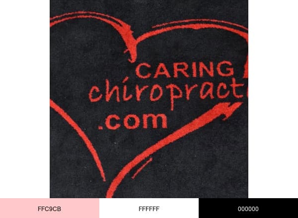 Advantage Rehabilitation & Wellness Center brand color palette