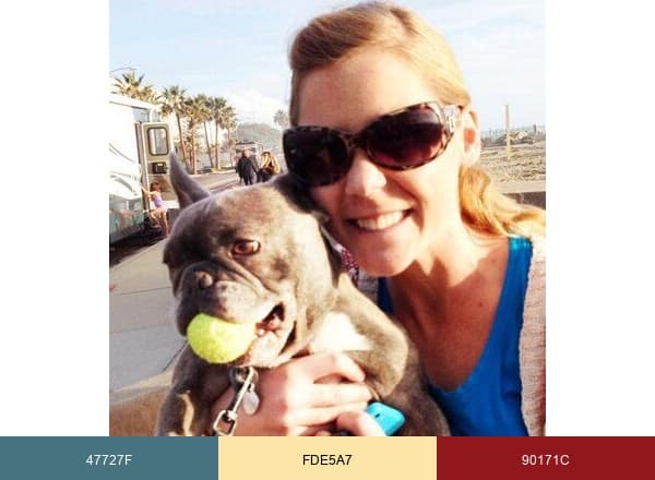 Carlsbad Cravings brand color palette