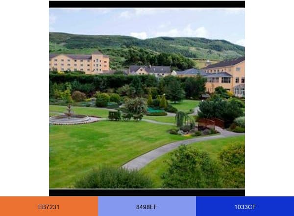 Carrickdale Hotel brand color palette