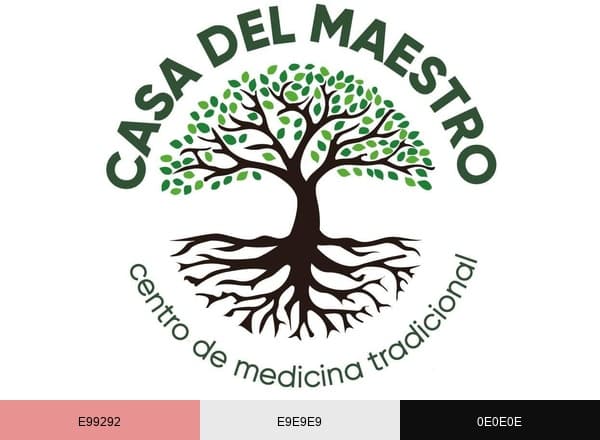 Casa Del Maestro brand color palette