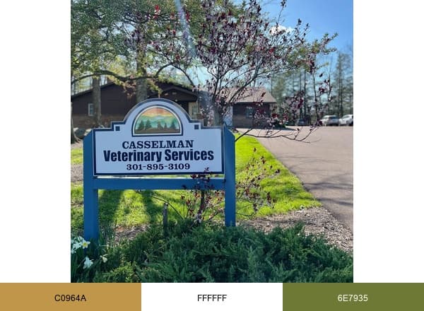 Casselman Veterinary brand color palette