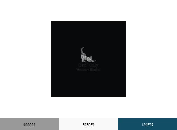 Cats Only Vet Hospital brand color palette