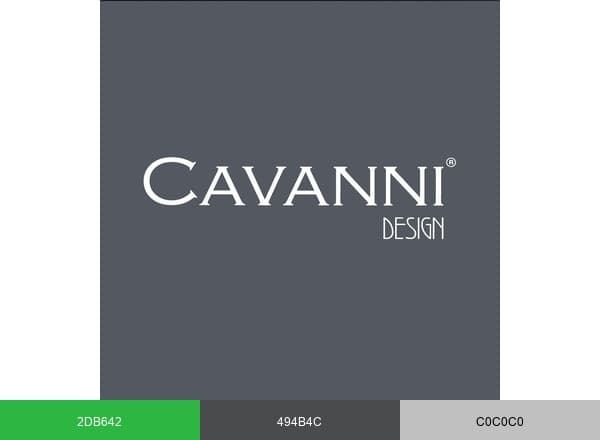 Cavanni Design brand color palette