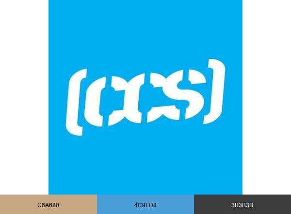 CCS brand color palette