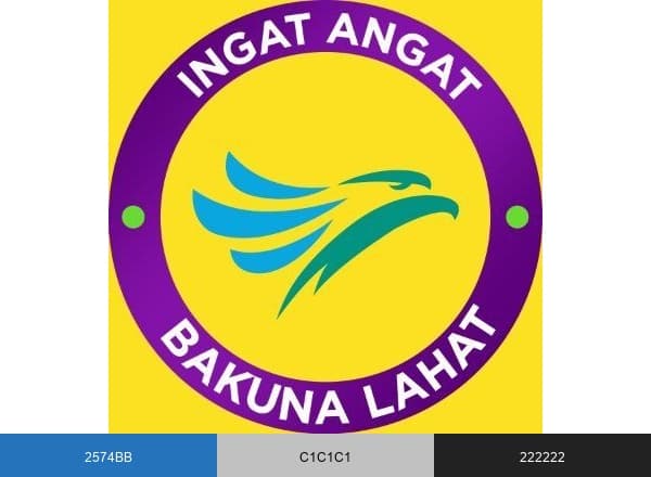 Cebu Pacific Air brand color palette