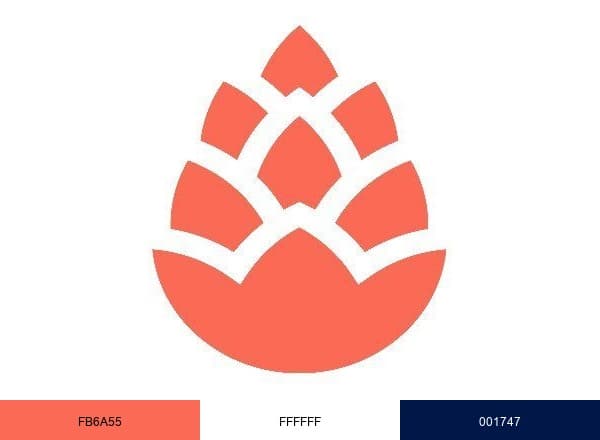 Cedar brand color palette